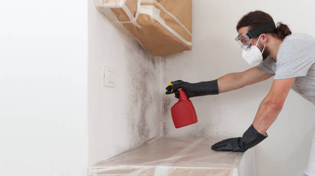 Professional Black Mold Remediation technician working in Fort Myers Beach, FL